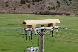 Avian Deflector with double crossarms