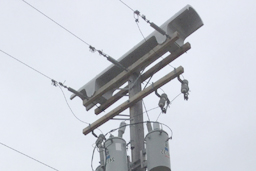 Avian Deflector with double crossarms